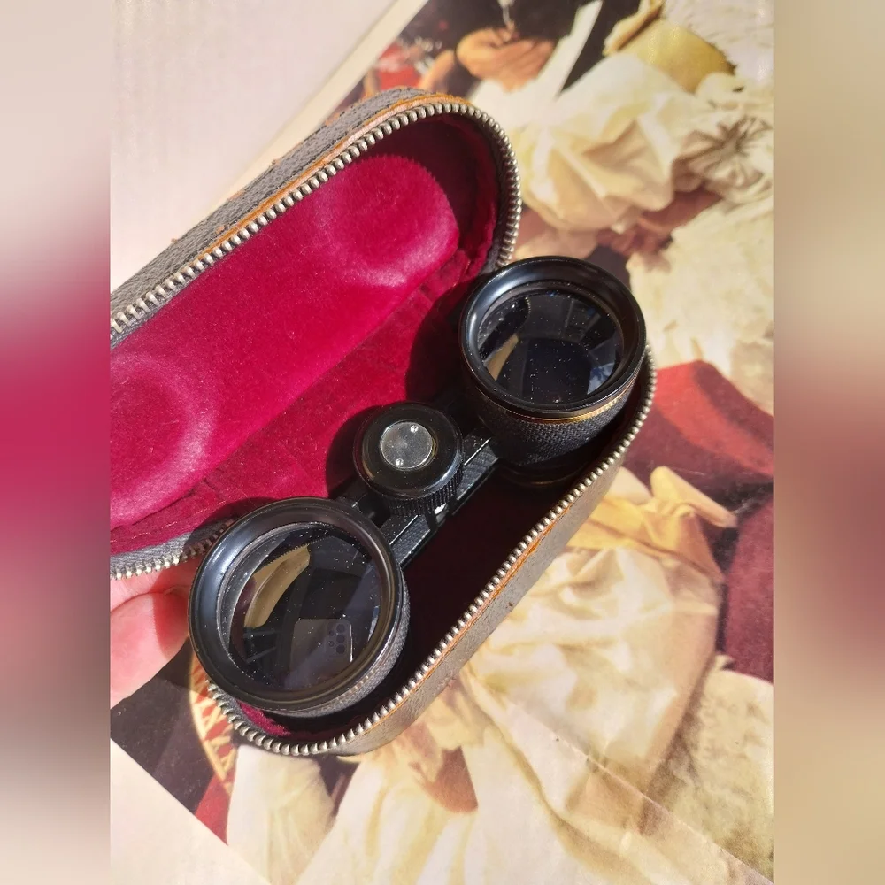 Black and Gold Binoculars with Case - Picture 11 of 11